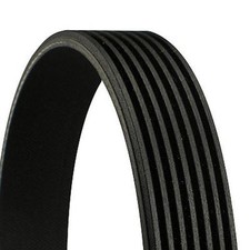 CONTINENTAL CTAM Keilrippenriemen für VW Passat B3/B4 Corrado Golf III Vento 