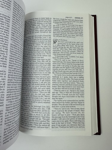 NLT Holy Bible New Living Translation Burgundy Red Hardcover Tyndale Pew 1996 - Imagen 10 de 15