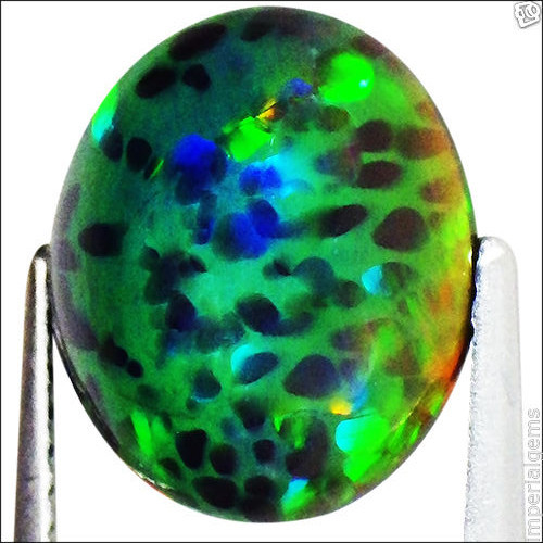 3.12 Ct Natural Ethiopian Honey Comb Black Opal Multi Color Oval Cabochon Cut - Picture 3 of 5