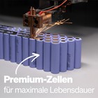 Bild 10 von 11