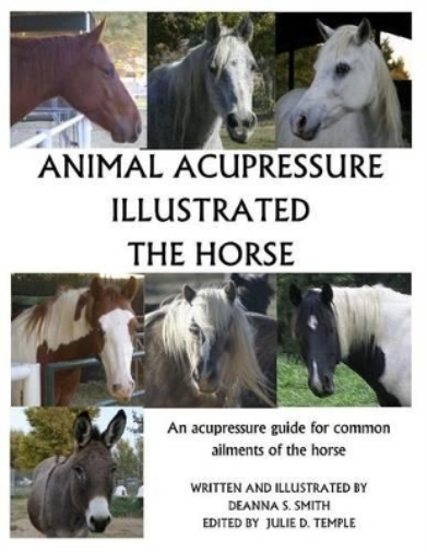 Deanna S Smith Animal Acupressure Illustrated The Horse (Taschenbuch (US IMPORT) Deanna S Smith Animal Acupressure Illustrated The Horse (Taschenbuch (US IMPORT)