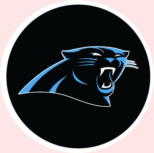 Carolina Panthers 3x5 Flag Man Cave Flags 3 x 5 Banner USA Tailgating Gift Set - Picture 20 of 61