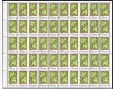 🍁Canada #536 Pane  MAPLE LEAVES IN SUMMER   Brand New 1971 Full Pane Issue  (A)