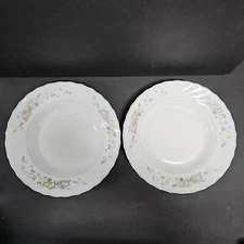 2 Vintage Arcopal Victoria Floral Soup Pasta Rimmed Bowls 9" Made in France READ