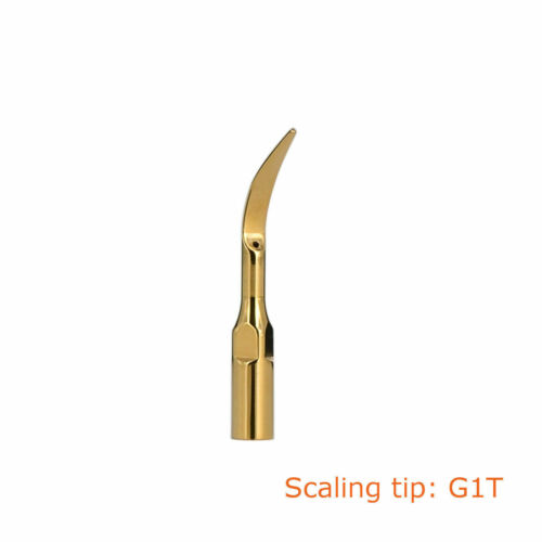 Dental Ultraschall Skalierung Spitze golden beschichtet passend für Specht EMS Handstück - Bild 6 von 35