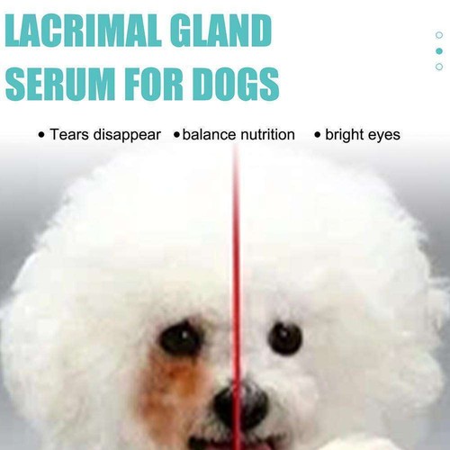 Pet Eye Drops For Conjunctivitis Dog Cat Horse Rabbit Animals New All UK L9X4 - 第 8/11 張圖片