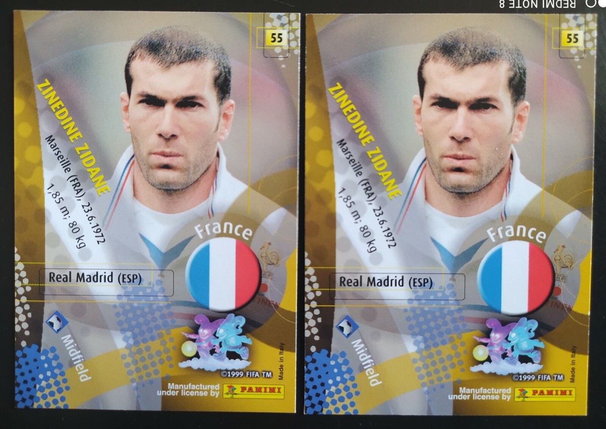kny17807#84 2002 FIFAオフィシャルトレーディングカード 2002 FIFA World Cup Korea & Japan Trading Card PANINI Brand