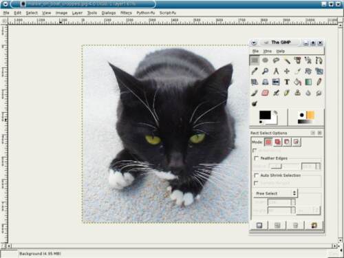 DIGITAL IMAGE PICTURE EDITING SUITE, PHOTO EDITOR PRO FIX RED EYE, OFFICE, MEDIA - Picture 4 of 4