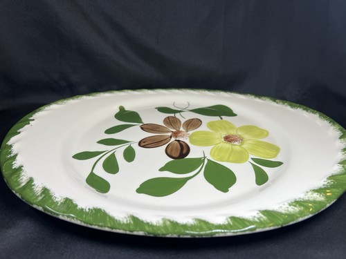 "Plato ovalado de brezo verde Blue Ridge Southern Potteries 13,75"" de colección" - Imagen 23 de 24