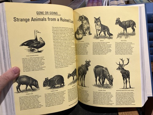 Audubon Magazine of the national Audubon society Library Bound Complete 1968 - Picture 8 of 21