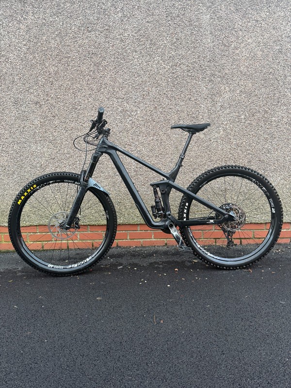 Canyon Strive CF Carbon 2019 Enduro Mountain Bike