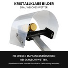 Afbeelding 3 van 8