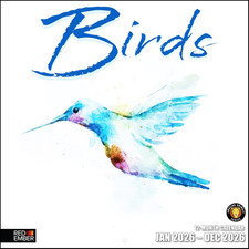 Birds 2026 Wall Calendar 12 Month  12" X 24" Open  Thick  Sturdy Paper  Gift