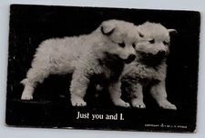 Just You And I Puppies Together 1912 Posted Divided Back Vintage Postcard