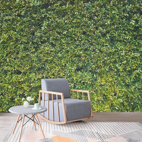 7x5FT Green Leaves Photography Backdrop Jungle Backdrop Clear Color Foldable US - Picture 17 of 21