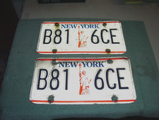 Matching Set Statue of Liberty New York  License Plates Pair B81-6CE