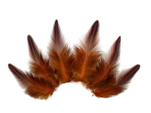 10 Stück - orange gefärbt Dschungel Hahn lose Gefieder Feder Fliegenbindung selten exotisch - Bild 3 von 9