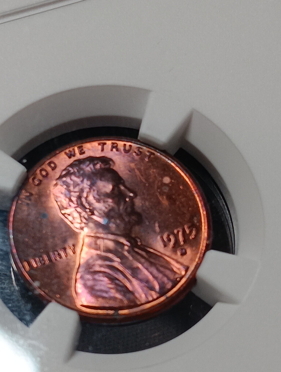 Picture 5 of 6