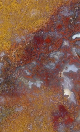 Macaw Agate from Mexico   Lapidary Slab                   T721 - Picture 7 of 11