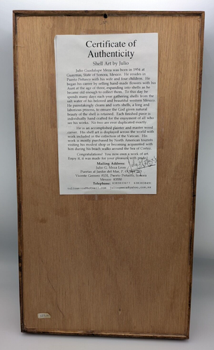 Julio Guadalupe Meza Seashells Shell Art Wood & Glass Frame Signed 2015 18x10x2 - Picture 4 of 4