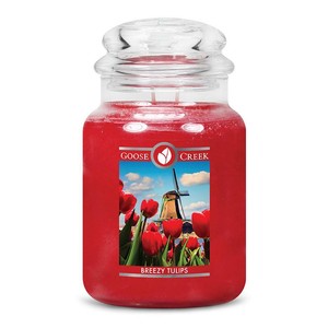BREEZY-TULIPS-LARGE-GOOSE-CREEK-CANDLE-JAR-24-OZ-FLORAL-SCENTED-CANDLE
