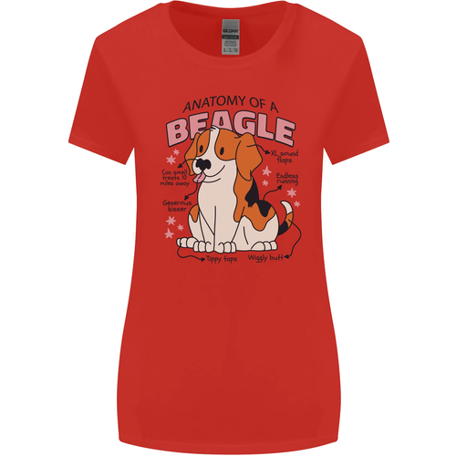 Beagle Anatomy lustiges Damen-T-Shirt Hund breiter geschnitten - Bild 28 von 43