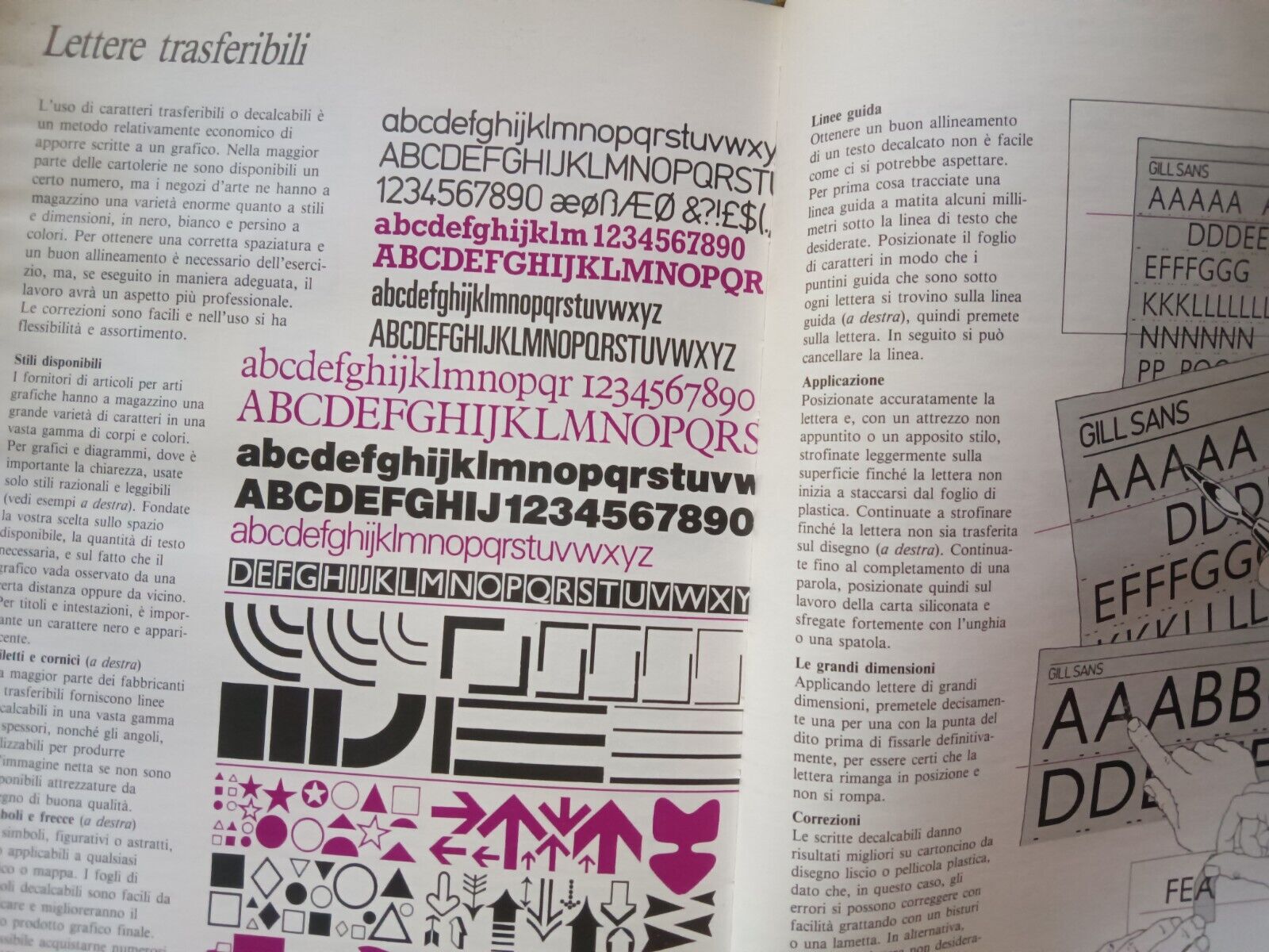 Foto 5 di 7