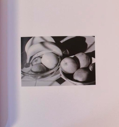 Robert Adams Still Lives at Manzanita Signed 1st Edition Hardcover 2006 #204047 - Picture 2 of 4