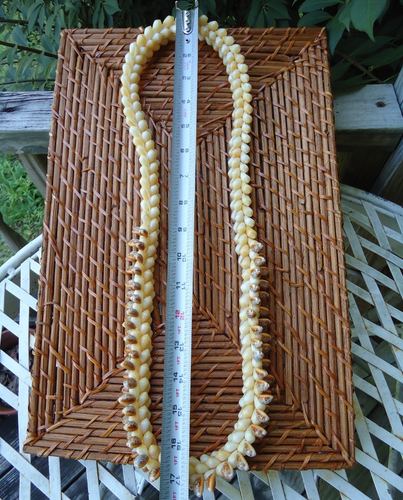 Collar de Colección Hawaiano Lei Manchado Cowrie Shell Cuerda Cuádruple Playa Polinesia - Imagen 8 de 12