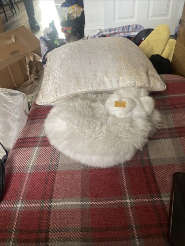 Steiff Cat vintage blanco persa - Imagen 5 de 7