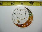 HOLOGRAPHIC ZODIAC CAPRICORN SMALL STICKER DECAL HOROSCOPE SIGN BIRTH MONTH
