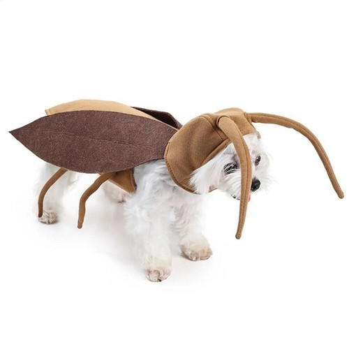 Realistic Cat Cockroach Costume Breathable Insect Pet Cosplay Suit Party - Picture 4 of 12