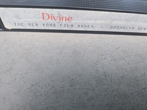 Divine New York Film Annex VHS UNTESTED A Classic Of The World - Picture 4 of 6