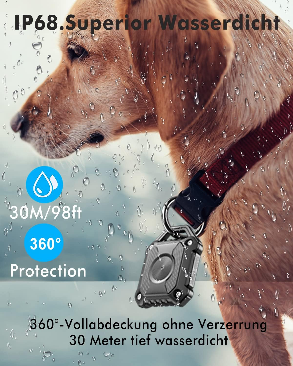 Bild 5 von 12