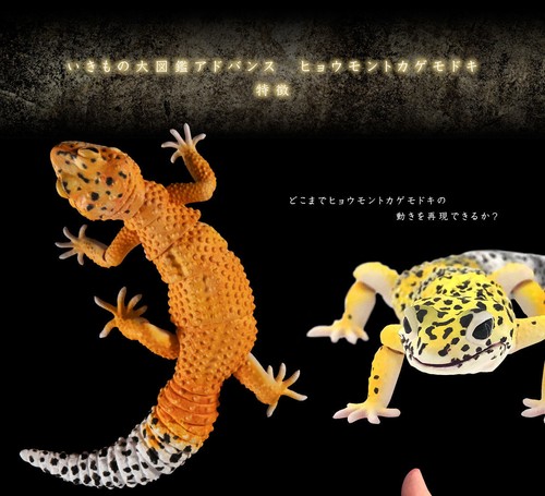 Bandai Ikimono Encyclopedia Advance Leopard Gecko 4 Types Set No Capsule 170mm - Picture 17 of 21