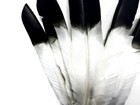 Bild 3 von 9