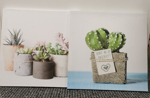 Bild*Gallerie*Gemälde*Leinwand*Wandbild*Druck*Kakteen*Kaktus*2er Set - Bild 1 von 4