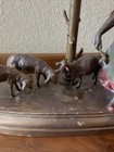 Picture 6 of 22