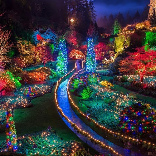 Solar Fairy String Lights 100/200/500 LED Outdoor Garden Christmas Party Decor - Picture 14 of 24