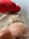 Bild 9 von 12