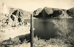 Canyon-Lake-Arizona-RPPC-Salt-River-reservoir-AZ-Cactus-Postcard