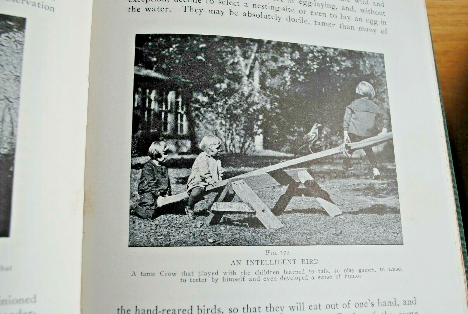 Picture 10 of 12