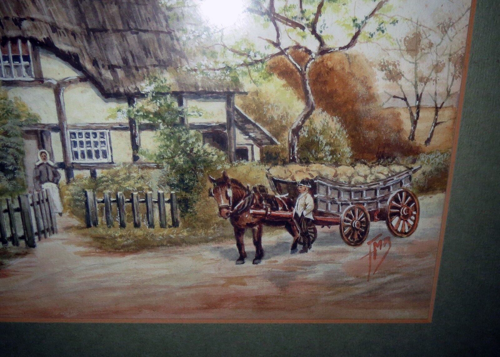Foto 7 di 8