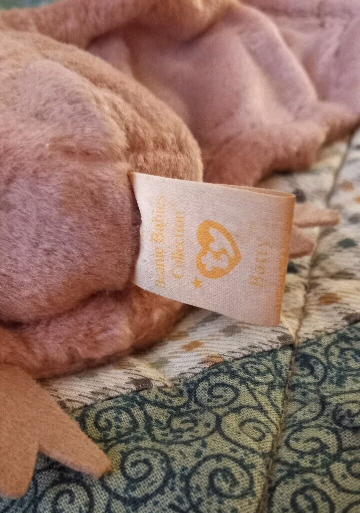 Picture 5 of 10