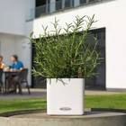 Lechuza self watering planter Cube 13380 Color 14 white flower pot greens herbs
