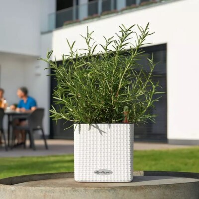Lechuza self watering planter Cube 13380 Color 14 white flower pot greens  herbs | eBay