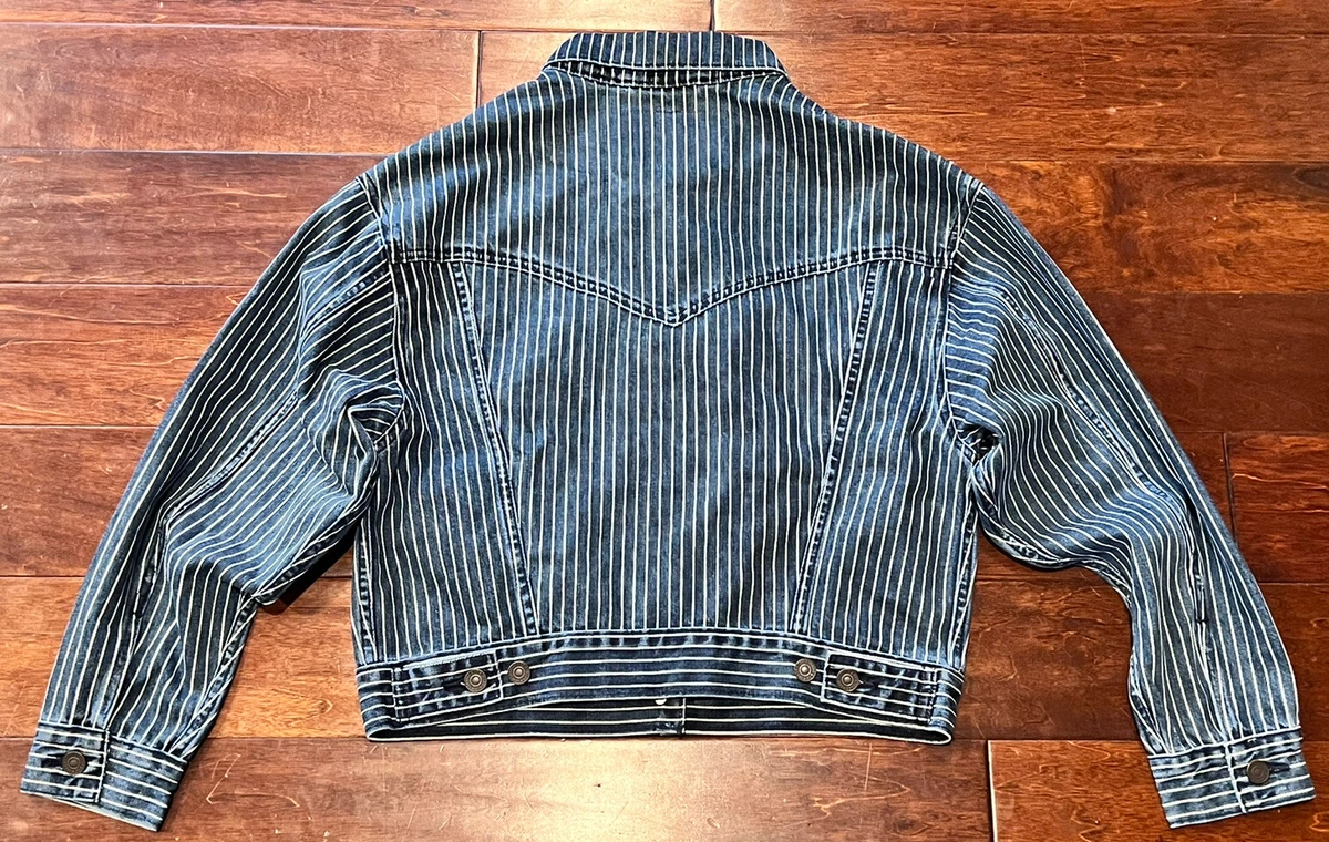 Levis X Stranger Things Netflix Women's Blue Striped Cropped