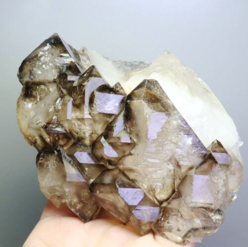 1.31lb Natural Smoky Elestial Skeletal Quartz Crystal Cluster Mineral Specimen - Picture 3 of 11