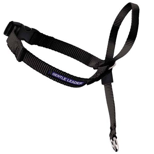 Gentle Leader Dog Training Headcollars Safely Teach Your Pet to Walk Straight - Picture 2 of 6