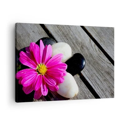 Cuadro Sobre Lienzo 70x50cm Cuadros Pared Piedra flor pétalos crisantemo Art - Imagen 1 de 4
